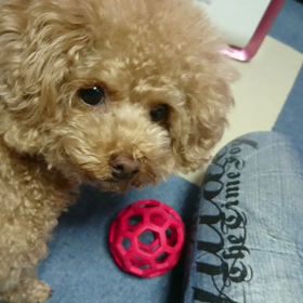 投げてよぉの画像