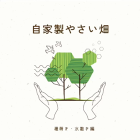 自家製やさい畑の進捗の画像