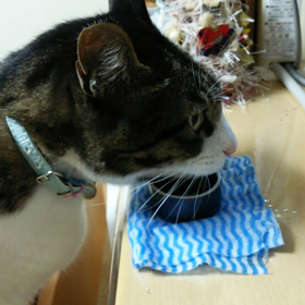 場末のスナックゆうこの画像