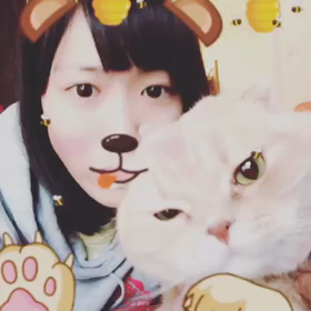 なまぜっと！の画像