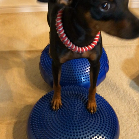 慣れてきましたね〜の画像