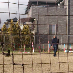 アンジュの画像