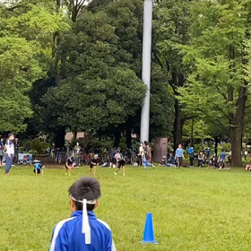 ダッシュ(白チーム)③の画像