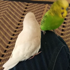 今朝も元気です。の画像