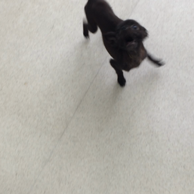 ♪プレイルーム動画♪の画像