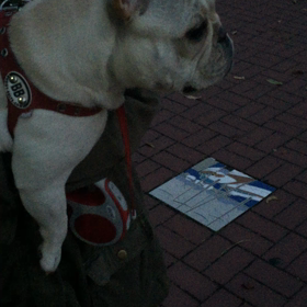 な、なんて声？の画像