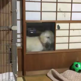 美音迷路にはまるの巻の画像