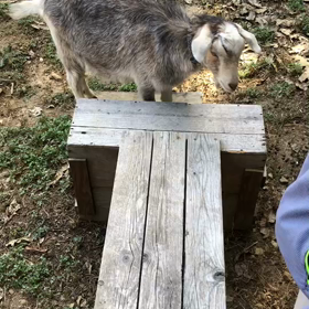 笑ちゃん(喜八)の様子を送っていただきました♡の画像