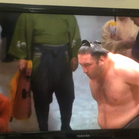 横綱  日馬富士  鶴竜 白鵬の画像