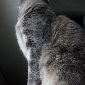 そこから何が見える？の画像