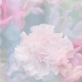 本年もよろしくお願いしますの画像