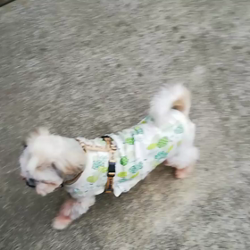 今朝も元気！元気！の画像