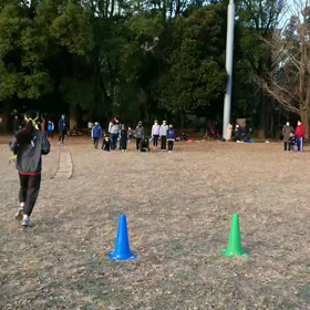 ダッシュ(黄色チーム)②の画像