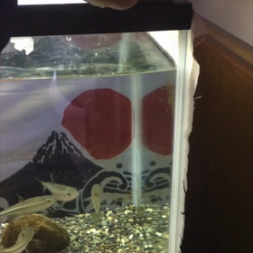 8人暮らしの画像