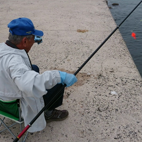 餌を釣るの画像