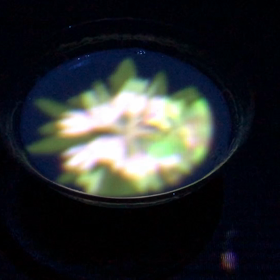 お出掛けの画像