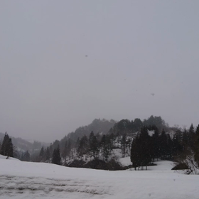 期待するのは自分の都合の画像