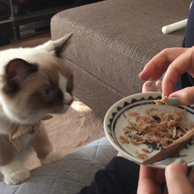 なんでもない一日の画像