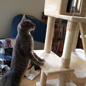 君だけのための塔 オンザムービーの画像