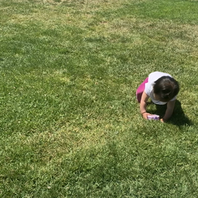 カリフォルニア脱出作戦の画像