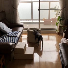 アゴ休めの画像