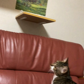 運命の帰路に立たされた！二度と繰り返さない為に…の画像