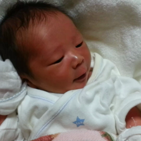 ☆17日目☆ 【動画】 今日のtandy  かわいいの画像