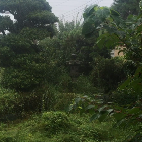 台風9号上陸前 2の画像