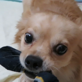 靴下遊びの画像