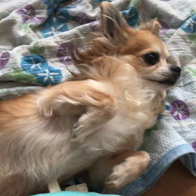 ２匹になってからの画像