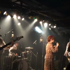 5月ライブスケジュールの画像