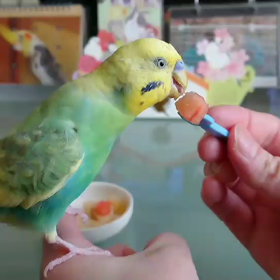 バナナといちごを食べるだけの動画の画像