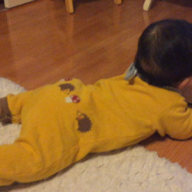 ハイハイの画像