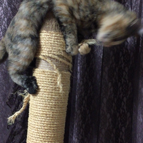 そんなところでの画像