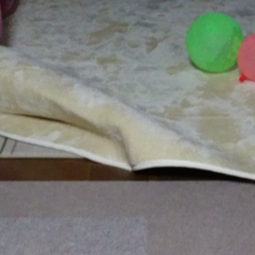 潜りっこ～♪の画像