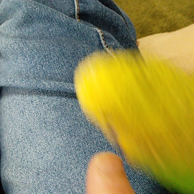 さっきまでのぽぽの画像