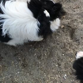 秋田 お問い合わせの画像