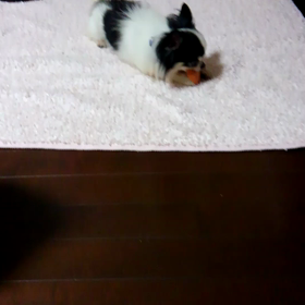 おもちゃ返してや！の画像