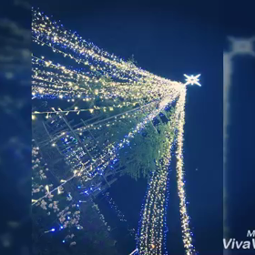 長居公園イルミネーションの画像