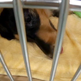 左肩手術の画像