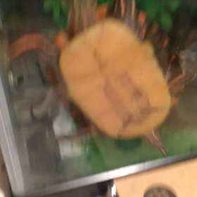 今夜、夜更かしな訳の画像