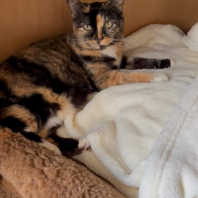 悲しい、辛いの画像