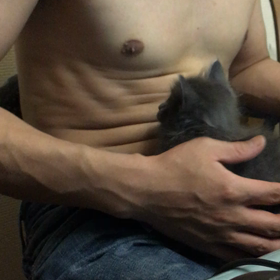 俺、親猫になる 95の画像