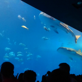 久しぶりのの画像