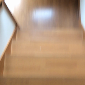 今日も待ち構えてるかな❓の画像