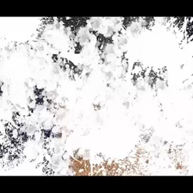 ３日前～(•ө•)♡の画像