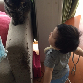 ８０１日目 リベンジの画像