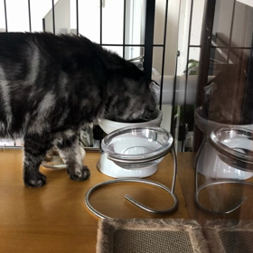 あろえのことの画像