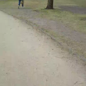 紅葉狩りの後、歩き足りないので公園を散歩の画像