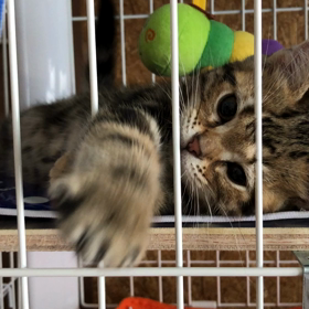 リボンがお好き♡の画像